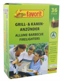 Favorit Grill- & Kamin-Anzünder