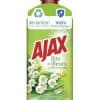 Ajax Frühlingsblumen