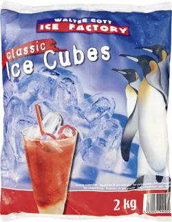 Walter Gott Ice Factory Classic Ice Cubes