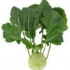 Kohlrabi