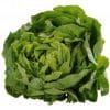 Kopfsalat