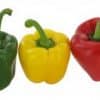 Paprika Mix -3 Stück