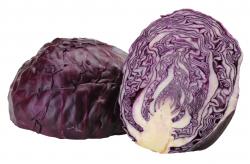 Rotkohl