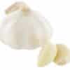 Bio Knoblauch