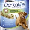 Dentalife Maxi