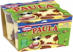 Dr. Oetker Paula Pudding Vanillegeschmack mit Schoko-Flecken