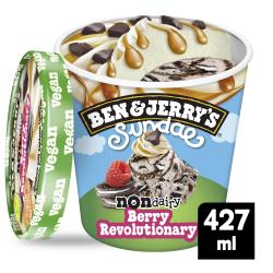 Ben & Jerrys Vegan Sundae Berry Revolutionary