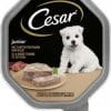 Cesar Junior mit zartem Truthahn und Kalb