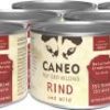 Caneo Ruf der Wildnis Rind und Wild getreidefrei