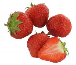 Erdbeeren